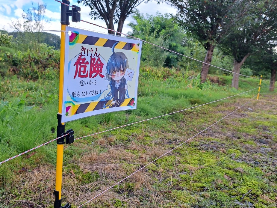 熊電気柵